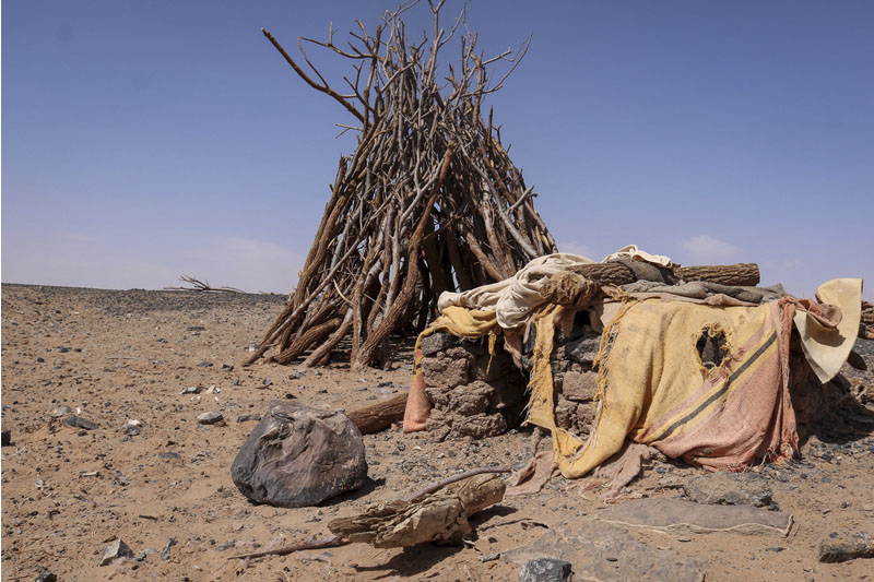 ‘Vida’ en el desierto